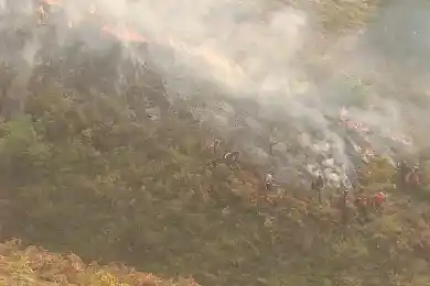 В пяти районах Костанайской области продолжает гореть лес - фото, видео