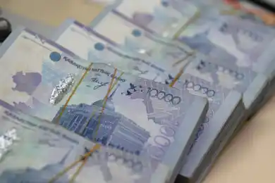 Фонд Елбасы предлагает стать миллионерами поэтам и писателям