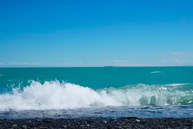 Гибель птиц на Алаколе: эксперты проверили состояние воды