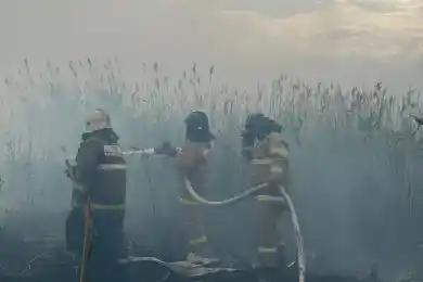 Пожар под Астаной не удается потушить, на помощь едут пожарные из двух областей 