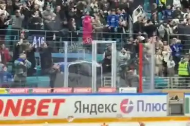 Болельщики устроили мишкопад после победы Барыса