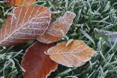 Ночные заморозки останутся: погода по Казахстану на 1-3 октября