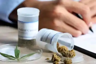 В Казахстане могут легализовать технический каннабис в промышленных целях