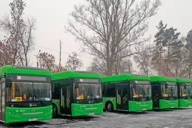 В Алматы выехали на маршруты экологичные автобусы-"гармошки"