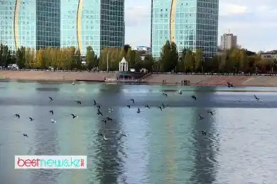 Туман и заморозки: погода по Казахстану на 28 сентября