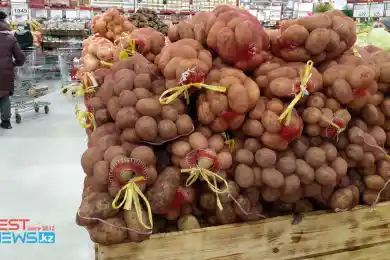 «Объемы запасов продовольственных стабфондов в Казахстане недостаточны» – Султанов