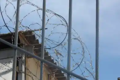 В колонии под Капшагаем произошёл конфликт между заключенными, есть раненые