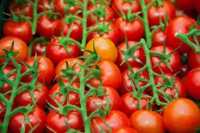 Узбекистан поставит в Казахстан ранние овощи в начале мая