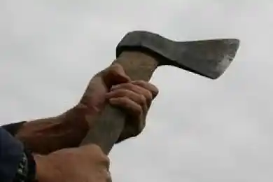 У школьника, напавшего на учеников с топором, имели проблемы с психикой - МВД