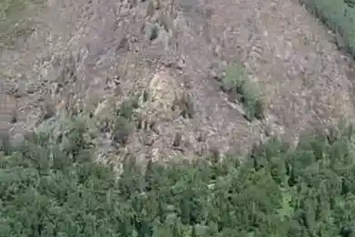 Пожар в Катон-Карагае локализован