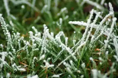 В Казахстане ожидаются похолодание и заморозки