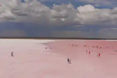 Спасите Кобейтуз: Токаев назвал «приоритетной» задачу экологического воспитания казахстанцев