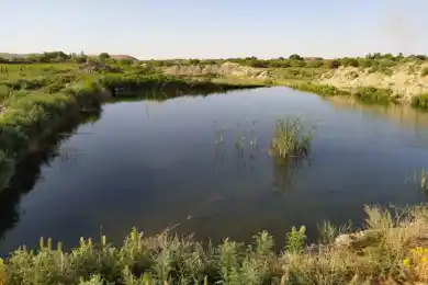 В Жамбылской области утонула девочка, купаясь в запрещенном месте