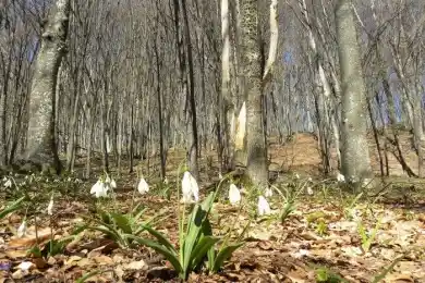 Потепление до +25 в апреле прогнозируют синоптики