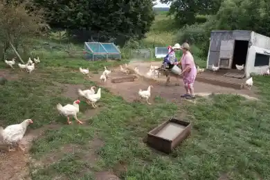 В Казахстане разработают закон "О личных подсобных хозяйствах"