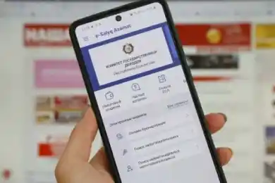 «Не такое уж удобное»: в Мажилисе критиковали мобильное приложение для налогоплательщиков
