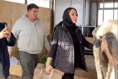 Қарақат Абден сделала то, чего не умеют многие политики, и вызвала восторг казахстанцев