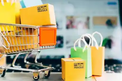 «Пандемия послужила взрывному развитию электронной коммерции в Казахстане» - вице-министр Жанасова