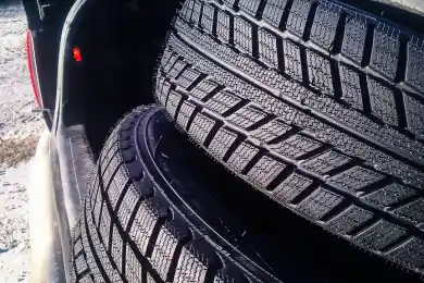 В Алматинской области налоговик получил авторезину за неконтролируемый провоз груза