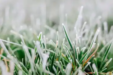 Осадки, туман и заморозки – какой будет погода на выходных по Казахстану