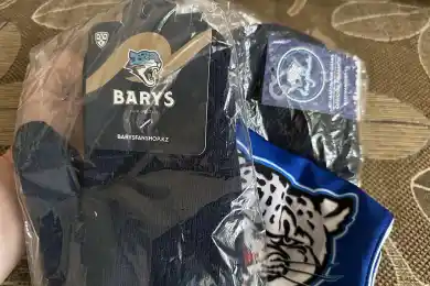 Сделай прогноз по "Барысу" и получи бесплатные призы