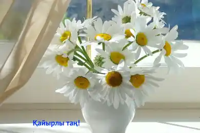 Қайырлы таң - с добрым воскресным утром!