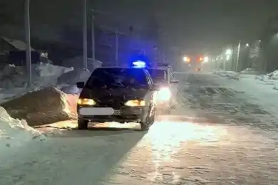 Ужас под Астаной: зверски убита семья