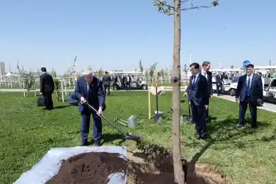 Президент Казахстана посадил дерево в Шымкенте