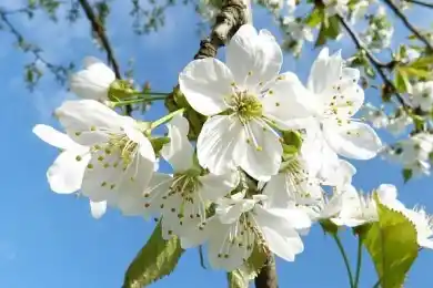 Какие события и изменения ждут казахстанцев в мае
