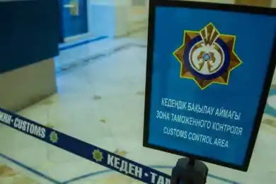 Налоговикам Казахстана хотят увеличить зарплату и одеть в униформу