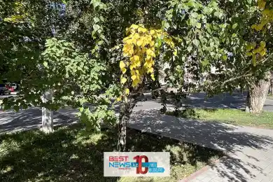 Сентябрь в Казахстане начнется дождями и жарой