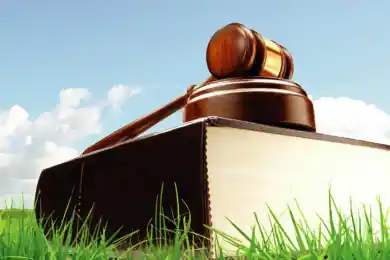 В Казахстане ускорят сроки изъятия неиспользуемых пастбищ