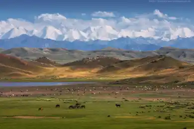 Местами ветер, туман: погода по Казахстану на 21 октября