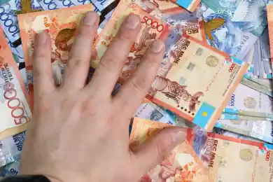 Возбуждено 5 уголовных дел после госаудита антикризисных программ – Минфин РК