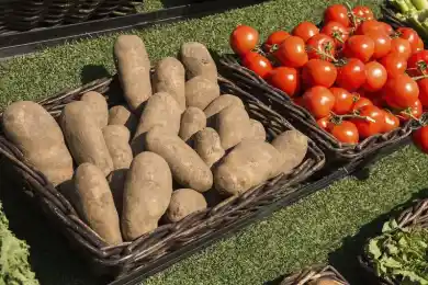 Глава МСХ о росте овощного импорта: "Угрозы для продовольственной безопасности РК нет"