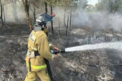 Пожар в Наурзумском заповеднике ликвидирован