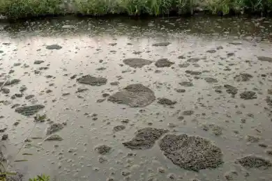 Минэкологии: в Атырау сбрасывали сточную воду с большим количеством нефтепродуктов