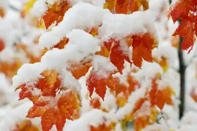 Синоптики прогнозировали зимнюю погоду: прогноз по Казахстану на 27-29 октября