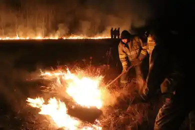 В Карагандинской области остаются 4 очага природных пожаров