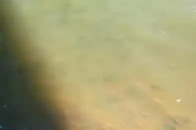 Экологи объяснили резкое позеленение воды в Есиле