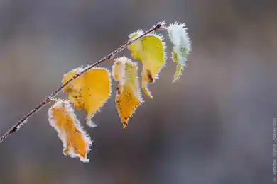 Заморозки даже в Туркестане: погода по Казахстану на 22 октября