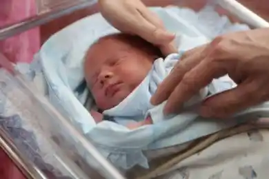 Три казахстанки стали суррогатными матерями для граждан КНР, ведется их розыск