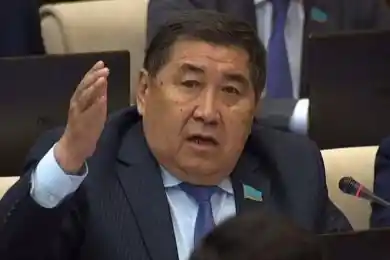 Депутат Бапи предложил проверить некоторые Интернет-ресурсы