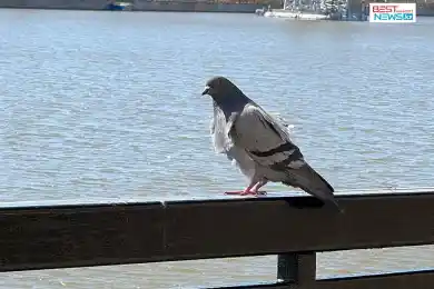 В Нур-Султане потеплеет: погода в трех главных городах Казахстана