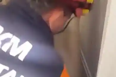 В Астане в квартиру влетела летучая мышь