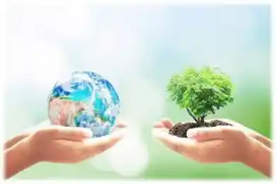 Когда в школах Казахстана начнут изучать экологическое образование