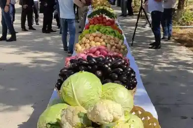 "Таджикистан за 1,5 млн долларов поставит в Казахстан виноград и лук" - Султанов