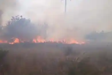 Жителей Карагандинской области призвали не паниковать из-за степных пожаров - видео