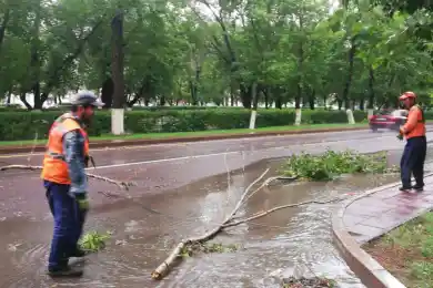 В Караганде шквал сорвал крыши, повалил деревья