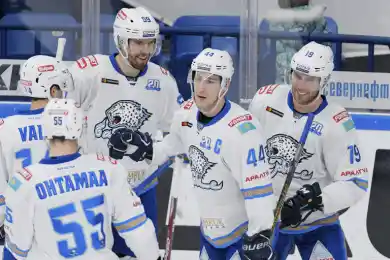 Шевченко разыгрался и помог "Барысу" обыграть "Витязь"